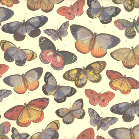 Mixed Butterfly Print Italian Paper ~ Leonardo Communication